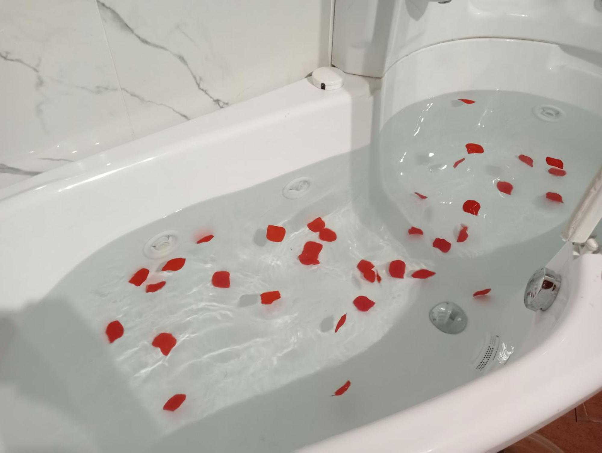 B&B A Casa Mia Pisa Dış mekan fotoğraf